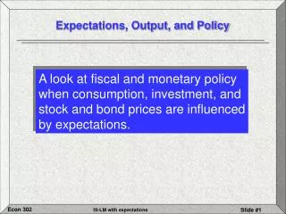 Expectations, Output, and Policy