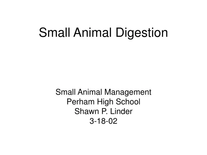 small animal digestion