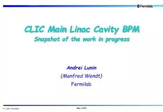 CLIC Main Linac Cavity BPM Snapshot of the work in progress