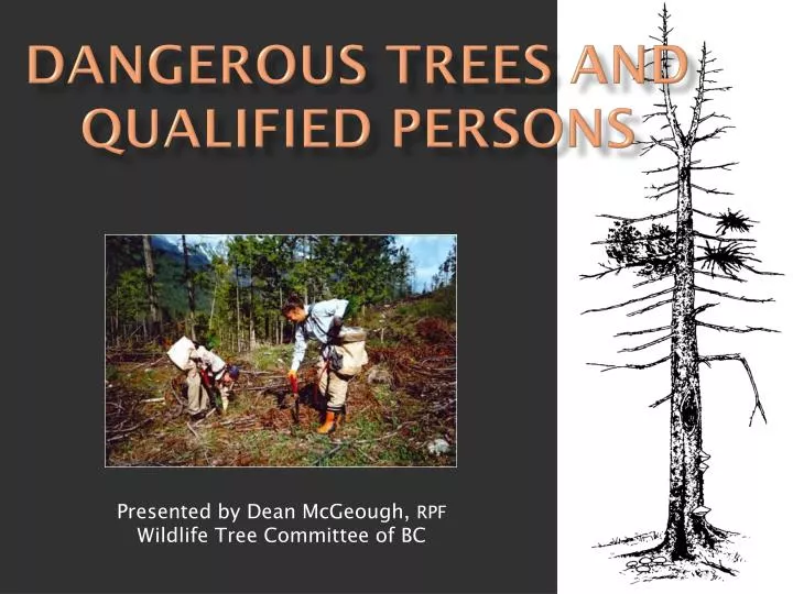 dangerous trees and qualified persons