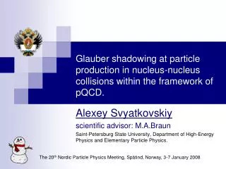 Alexey Svyatkovskiy scientific advisor: M.A.Braun