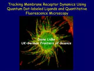 Diane Lidke UK-German Frontiers of Science