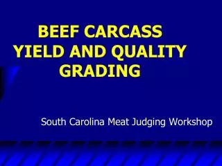BEEF CARCASS YIELD AND QUALITY GRADING