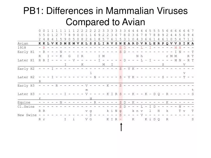 pb1 differences in mammalian viruses compared to avian