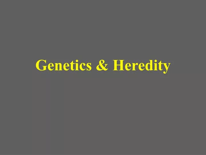 genetics heredity