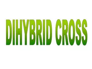 DIHYBRID CROSS