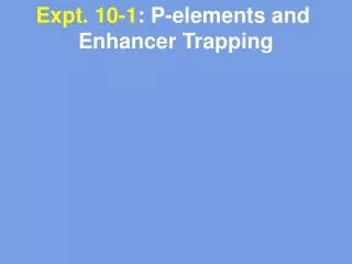 Expt. 10-1 : P-elements and Enhancer Trapping