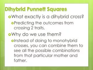 Dihybrid Punnett Squares