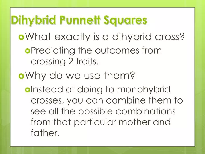 dihybrid punnett squares