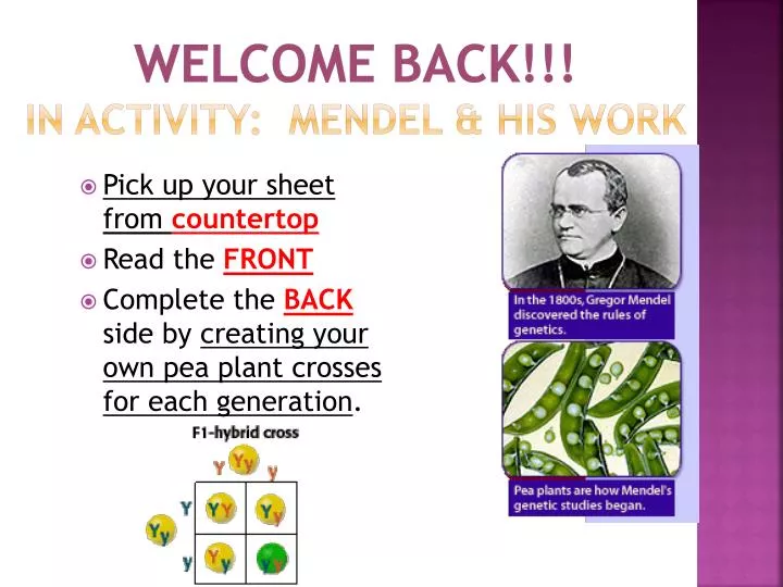 welcome back in activity mendel his work