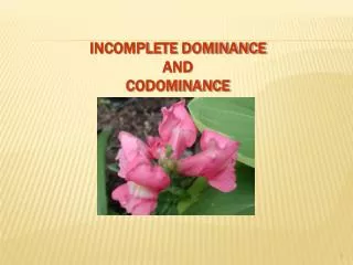 INCOMPLETE DOMINANCE AND CODOMINANCE
