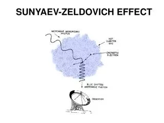 SUNYAEV-ZELDOVICH EFFECT