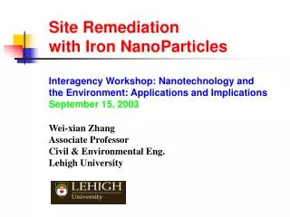 Site Remediation with Iron NanoParticles