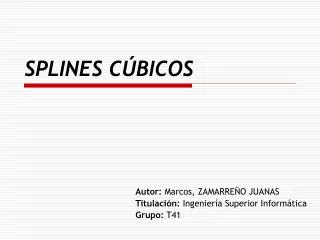 splines c bicos