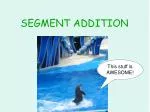 SEGMENT ADDITION - slide 1