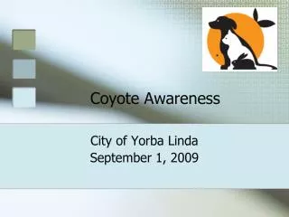 Coyote Awareness