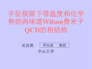 ???????????????? Wilson ??? QCD ????