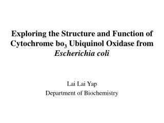 Exploring the Structure and Function of Cytochrome bo 3 Ubiquinol Oxidase from Escherichia coli