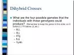 Dihybrid Crosses - slide 1