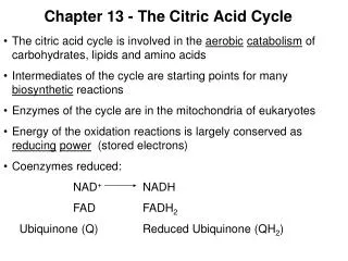 Chapter 13 - The Citric Acid Cycle