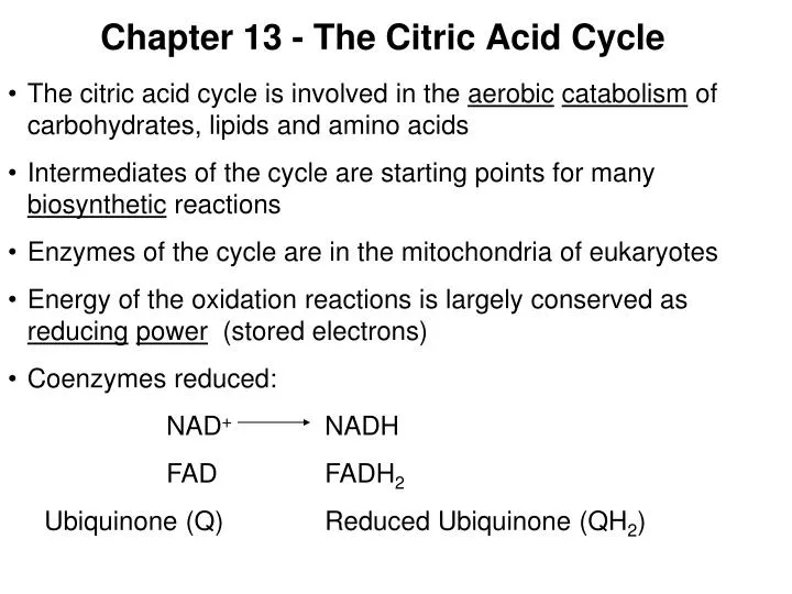 chapter 13 the citric acid cycle