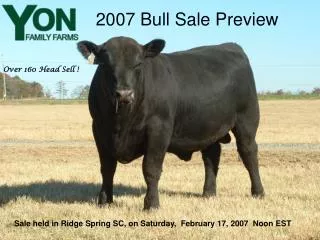 2007 Bull Sale Preview