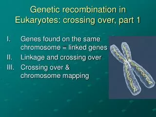 Genetic recombination in Eukaryotes: crossing over, part 1