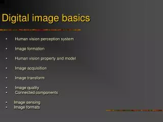 Digital image basics