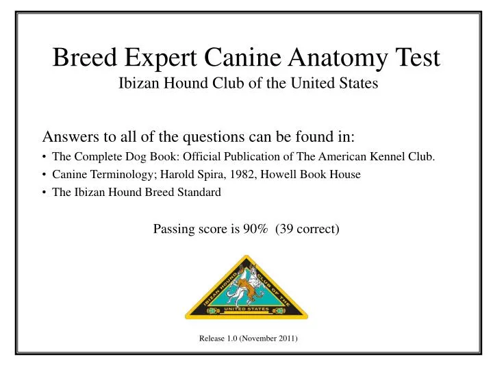 breed expert canine anatomy test ibizan hound club of the united states