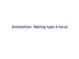 Annotation: Mating type A locus