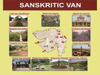 State Level Van Mahotsav ( Sanskritic Van)