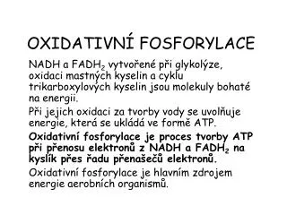oxidativn fosforylace