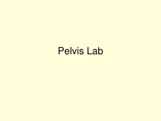 Pelvis Lab