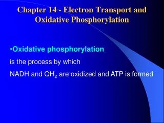 Chapter 14 - Electron Transport and Oxidative Phosphorylation