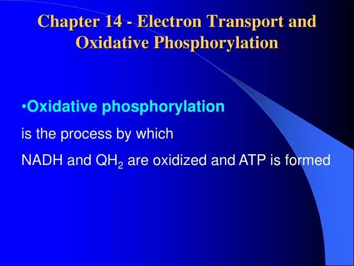 chapter 14 electron transport and oxidative phosphorylation