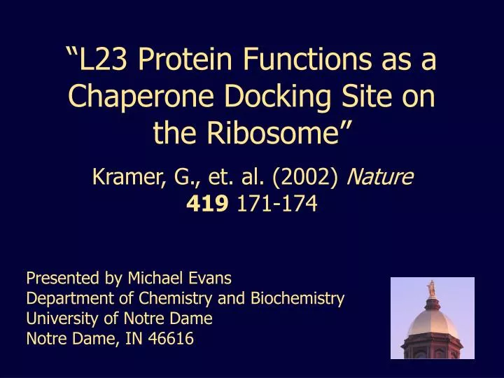 l23 protein functions as a chaperone docking site on the ribosome