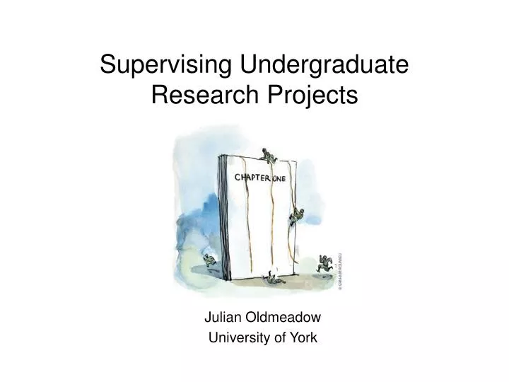 supervising undergraduate research projects