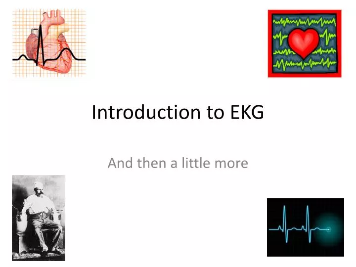 introduction to ekg