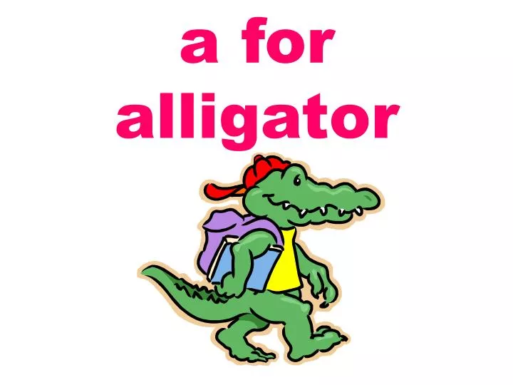 a for alligator