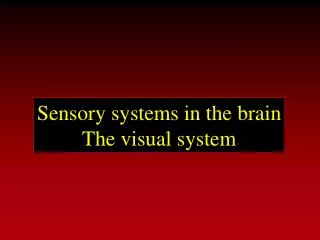 Sensory systems in the brain The visual system