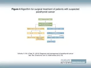 Figure 4 Algorithm for surgical treatment of patients with suspected parathyroid cancer