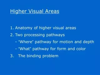 Higher Visual Areas Anatomy of higher visual areas Two processing pathways