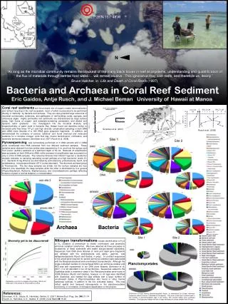 Bacteria and Archaea in Coral Reef Sediment
