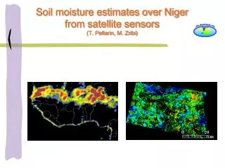 Soil moisture estimates over Niger from satellite sensors (T. Pellarin, M. Zribi)