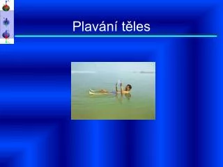 plav n t les