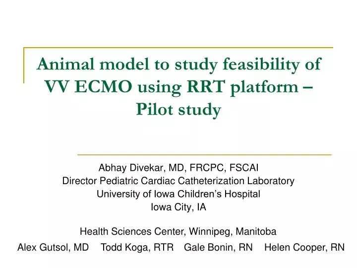 animal model to study feasibility of vv ecmo using rrt platform pilot study