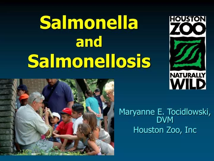 salmonella and salmonellosis