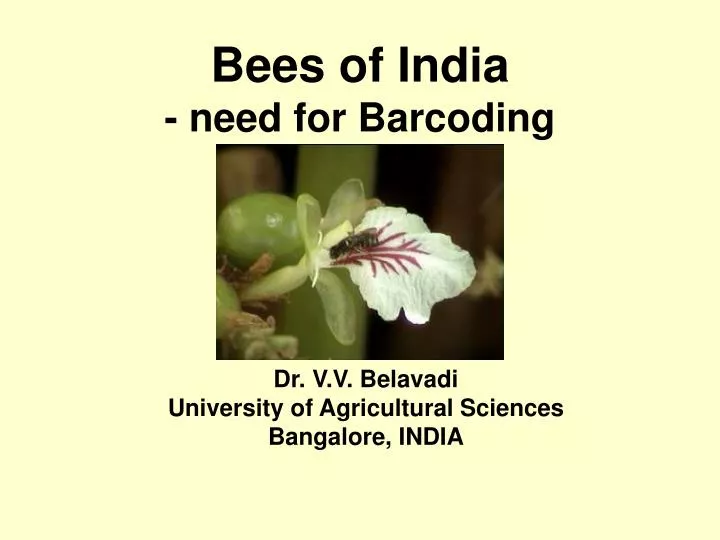 bees of india need for barcoding