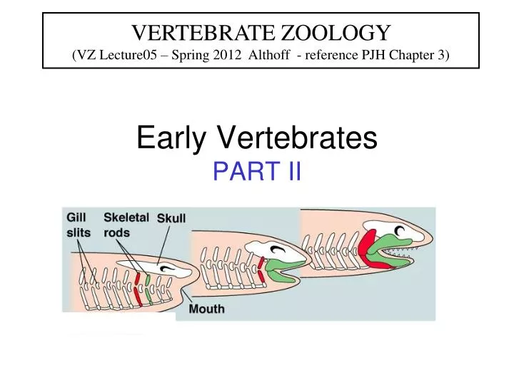 early vertebrates part ii