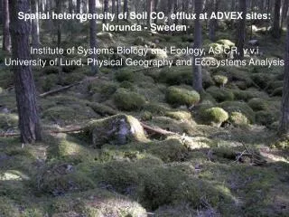 Spatial heterogeneity of Soil CO 2 efflux at ADVEX sites: Norunda - Sweden